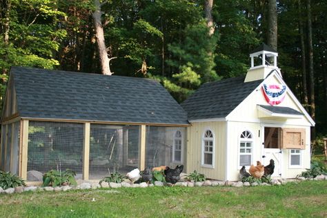 House Chicken Coop, Chicken Coop Kit, Urban Chicken Farming, House Chicken, Portable Chicken Coop, Urban Chickens, Coop Design, Building A Chicken Coop, Backyard Chicken Coops