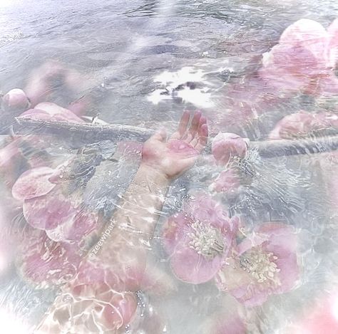 Pink Mermaid Aesthetic, Coconut Dream, Soft Pink Theme, Pink Ocean, Mermaid Aesthetic, Pink Mermaid, Images Esthétiques, Pink Themes, Ethereal Art