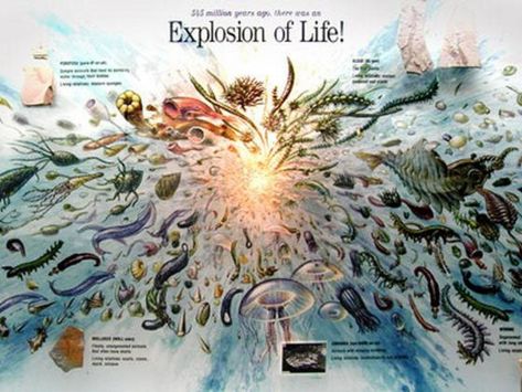 One of several severe problems facing gradualists and Darwinists alike is the occurrence of what has come to be known as ‘the Cambrian explosion’ which took place around 530 million years ago. In 1992, evolutionary biologist Jeffrey Levington described the period as ‘evolutionary biology’s deepest paradox,’[i] and if one delves further into the facts regarding this incredible geological epoch it is easy to see why. Evolution Theory, Metal Swan, Cambrian Explosion, Ocean Theme Party, Evolutionary Biology, Creation Story, Paleo Art, Animal Groups, Paranormal Activity