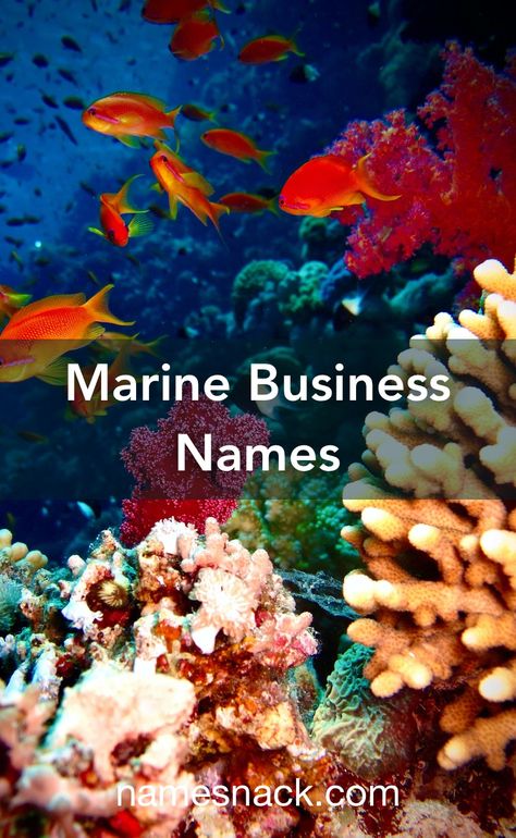 20 refreshing name ideas for your marine business. Names For Companies, Yin Yang Images, Nautical Logo, Marines Logo, Fish Icon, Sea Green Color, Restaurant Names, Beach Cafe, Name Inspiration