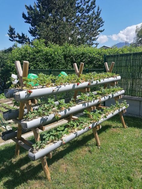 Soil Storage Ideas, Garden Buckets Planters, Vertical Vegetable Gardens, Veg Garden, Have Inspiration, Home Vegetable Garden, Garden Yard Ideas, Vegetable Garden Design, Food Garden