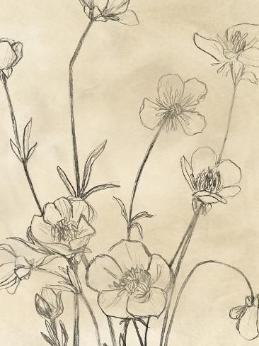 size: 12x9in Art Print: Vintage Wildflowers I by June Vess : Flower Sketches, Dark Forest Green, Stock Paper, Fine Arts Posters, Sketchbook Art Inspiration, Dark Forest, Art Inspiration Drawing, Big Canvas Art, Wall Hooks