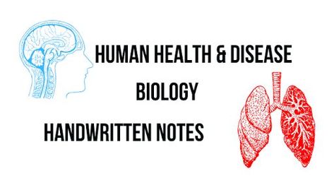 human health and disease handwritten notes pdf Human Health And Disease Notes, Disease Notes, Human Health And Disease, Neet Notes, Health Disease, Biology Notes, Class 12, Handwritten Notes, Biology