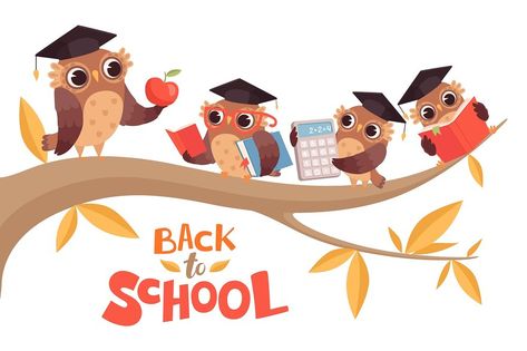 Back to school. Cute cartoon baby owls and teacher on tree branch vector illustration. Education school owl, teacher bird cartoon Owl School, September Autumn, Cartoon Owl, Branch Vector, School Illustration, School Frame, School Cartoon, Owl Wallpaper, Owl Illustration