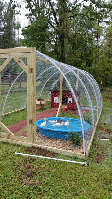 Duck Housing, Reban Ayam, Backyard Ducks, Duck Coop, Duck Farming, Backyard Chicken Coop Plans, How To Raise Chickens, Diy Chicken Coop Plans, Backyard Chicken Farming