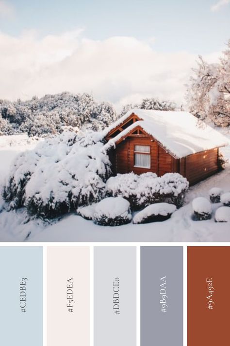 Finland Color Palette, Winter Photo Color Palette, Ski Lodge Color Palette, Vintage Winter Color Palette, Winter Colour Scheme, Winter Wonderland Color Scheme, Christmas Family Photos Color Schemes, Modern Winter Color Palette, Boho Winter Color Palette