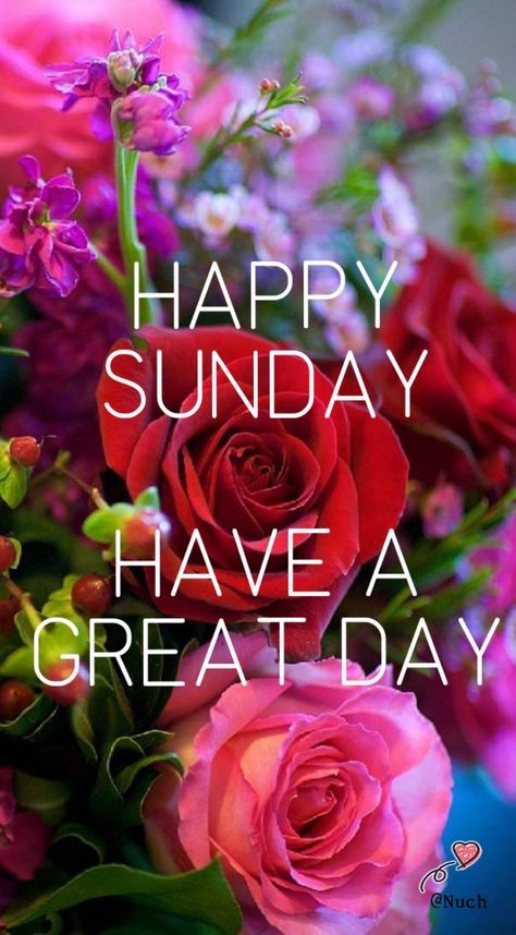 Happy Sunday Gif, Good Morning Happy Sunday Images, Happy Sunday Flowers, Happy Sunday Good Morning, Sunday Gif, Gif Good Morning, Good Night Quotes Images, Happy Sunday Images, Good Morning Sunday Images