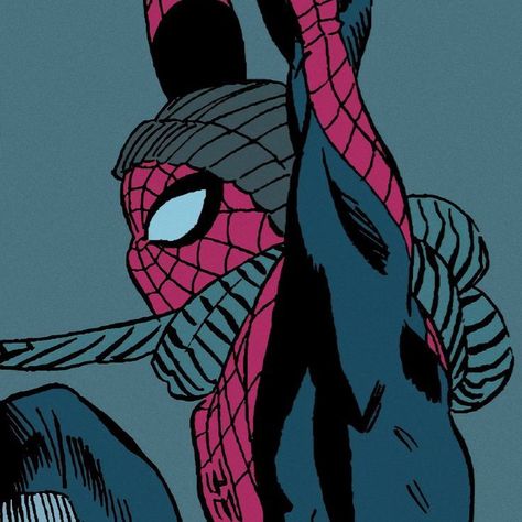 Spiderman Winter Pfp, Spider Man Comic Icons, Winter Pfp Matching, Spiderman Profile Pic, Spiderman Pp, Spiderman Winter, Spider Man Pfp, Winter Pfp, Spider Man Comics