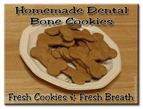 Homemade dental bone cookies on a plate. Fresh Cookies ~ Fresh Breath #recipe Dog Teeth Cleaning Treats, Dog Dental Treats, Dog Dental Chews, Pet Treats Recipes, Dental Health Care, Healthy Dog Treats Homemade, Valentine Diy, Dental Treats, Dog Teeth Cleaning