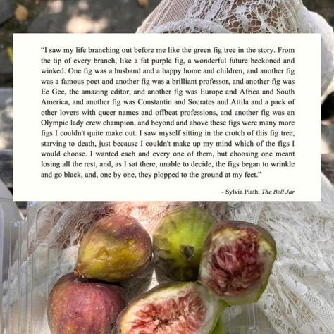 Fig Quotes, Fig Tree Analogy, Sylvia Plath Fig Tree, Digital Dream Board, Tree Poem, Modern Literature, The Fig Tree, Capricorn Rising, Making A Decision