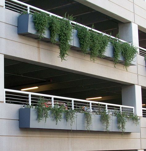 DeepStream Designs Hanging Box Planters Wilshire Railing Planters Ideas, Balcony Hanging Plants, Balcony Planter Boxes, Railing Planter Boxes, Rooftop Planters, Hanging Planter Boxes, Deck Railing Planters, Balcony Planters, Railing Planters