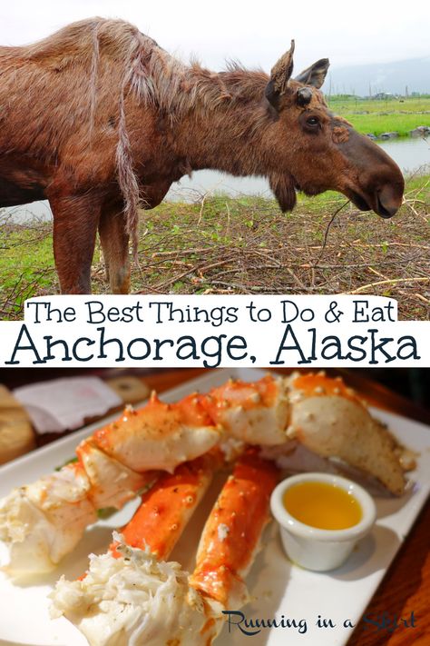 Things to Do in Ancorage Alaska USA and The Best Things to Eat! What to do in summer including places to see wildlife like Moose, downtown Anchorage, Alaska Wildlife Conservation Center and a gold mine. Also the most iconic restaaruants and must try food and breweries. A great travel guide to this bucket list destination. Gorgeous photography. / Running in a Skirt #ustravel #travelblogger #usa #travel #bucketlist #alaska #anchoragealaska Alaska Party, Alaskan Cruises, Alaska Train, Alaska Bucket List, Alaska Food, Alaska Summer, Alaska Road Trip, Alaska Cruises, Bucket List Adventure