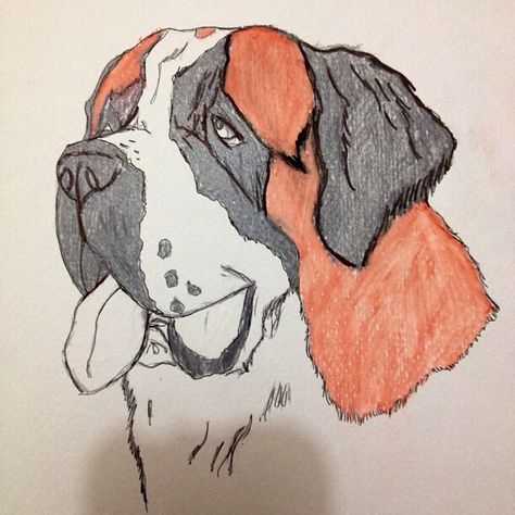 Saint bernard sketch Saint Bernard Sketch, Saint Bernard Painting, St Bernard Drawing, Saint Bernard Drawing, Labrador Silhouette, Saint Bernards, St Bernard Puppy, Puppy Drawing, St Bernard Dogs