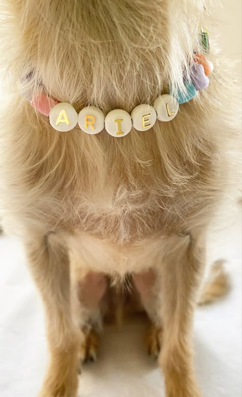 Dog Cute Accessories, Preppy Dog Outfits, Dog Collar Handmade, Charms For Dog Collar, Dog Beads Collar, Dog Jewelry For Dogs, Friendship Bracelet Dog Collar, Cute Collars For Dogs, Dog Necklace Beads