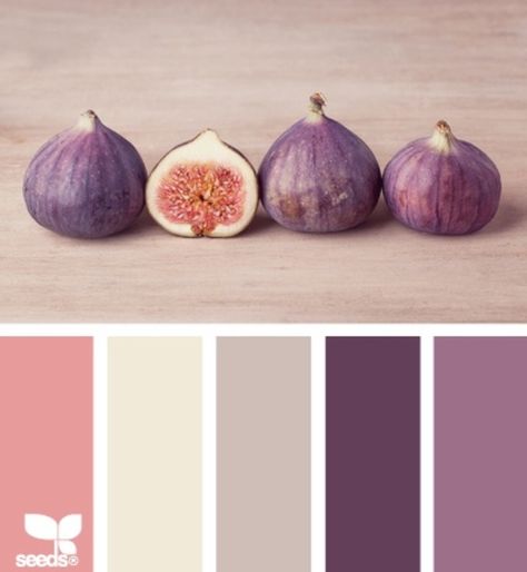 Fig color palette Color Palate, Design Seeds, Color Palette Design, Design Case, Colour Schemes, Color Pallets, Color Swatches, My New Room, Room Colors