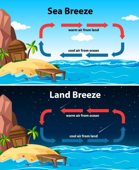 Diagram showing sea and land breeze Free... | Free Vector #Freepik #freevector #water #education #nature #cartoon Sea Breeze And Land Breeze Diagram, Land Breeze And Sea Breeze, Gol Gumbaz, Geography Vocabulary, Dancing Funny, Basic Geography, Biology Activity, Nature Cartoon, Earth Science Lessons