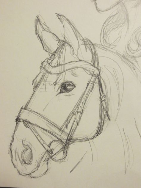 Horse Drawing Tutorial, Skitse Bog, Horse Art Drawing, Horse Sketch, Animal Drawings Sketches, Horse Drawing, Horse Drawings, Easy Drawings Sketches, Fete Anime