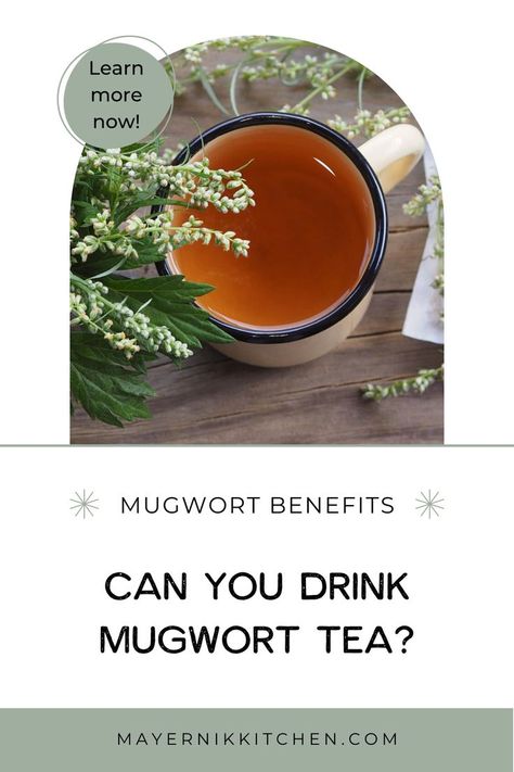 Mugwort Tincture, Herbal Detox Cleanse, Herbalist Kitchen, Herbal Salve Recipes, Mugwort Tea, Herbal Education, Herbal Coffee, Herbal Remedies Recipes, Salve Recipes