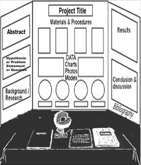 Social Studies Fair Projects, Elementary Social Studies, Science Fair Board, Science Fair Projects Boards, Presentation Ideas For School, Social Studies Projects, Social Studies Notebook, Creative School Project Ideas, Social Studies Elementary