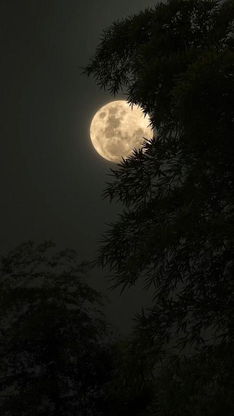 Lukisan Comel, Blue Moon Photography, Sky Photography Nature, The Moon Is Beautiful, Dark Nature Aesthetic, Moon Pictures, Night Scenery, Fotografi Alam Semula Jadi, Moon Photography