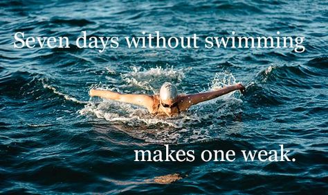 Funny Swimming Puns To Give Swimmers The LOLs (And Swimming Jokes!) - Active Weekender Swimming Pick Up Lines, Swimming Memes Funny, Swimming Puns, Pool Puns, Swim Motivation, Swimming Quotes Funny, Swimming Jokes, Swimming Posters, Swimming Memes