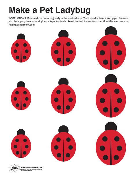 Ladybird Cupcakes, Ladybug Template, Ladybugs Preschool, Ladybug Craft, Lucky Ladybug, Kid Friendly Art, Macaron Template, Ladybug Theme, Ladybug Crafts