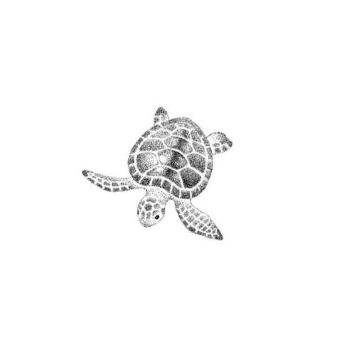 Small Sea Turtle Tatoos, Minimal Sea Turtle Tattoo, Sea Turtle Fine Line Tattoo, Turtle Line Tattoo, Sea Turtle Tattoo Simple, Simple Sea Turtle Tattoo, Minimalist Turtle Tattoo, Fine Line Turtle Tattoo, Turtle Tattoo Small