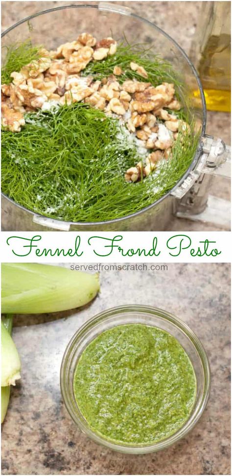 Fennel Greens Recipes, What To Do With Fennel Tops, Fennel Pesto Recipe, How To Use Fennel Fronds, Raw Fennel Recipes, Fennel Frond Pesto, Fennel Tops Recipes, Recipes Using Fresh Fennel, Fennel Leaves Recipes