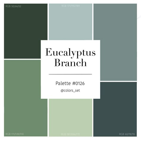 Color palette #0126 Eucalyptus Branch | Color palette design, House color  palettes, Nature color palette Pantone Eucalyptus, Eucalyptus Colour Palette, Eucalyptus Green Color Palette, Natural Green Color Palette, Eucalyptus Palette, Color Palette Eucalyptus, Eucalyptus Color Palette, Eucalyptus Color, Wedding Color Scheme