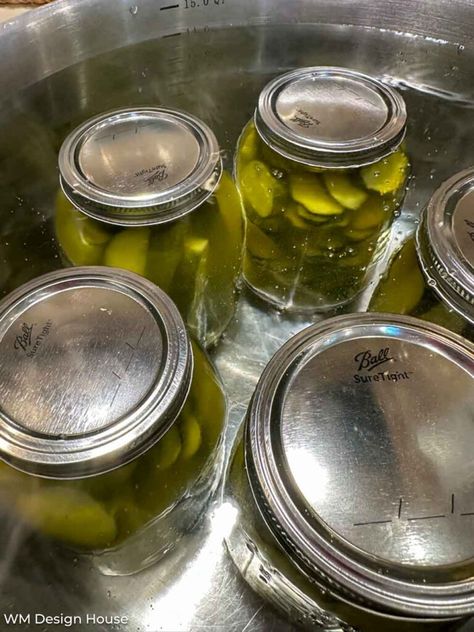 Craving for some mouthwatering pickles? Dive into our scrumptious Mrs. Wages homemade Kosher Dill Pickles recipe and fill your pantry with jars of pickle perfection! 🥒 Say goodbye to store-bought and hello to homemade flavor! 😍 Follow us for more. Canning Pickles Recipe, Pickling Cucumbers Recipe, Dill Pickles Recipe, Pickles Recipes, Quick Pickle, Easy Pickle, Quick Pickles, Kosher Dill Pickles, Dill Pickle Slices