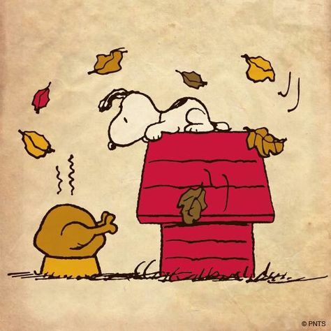 . Thanksgiving Snoopy, Peanuts Thanksgiving, Thanksgiving Icon, Thanksgiving Drawings, Thanksgiving Cartoon, Charlie Brown Thanksgiving, Whiteboard Art, Peanuts Charlie Brown Snoopy, Thanksgiving Wallpaper