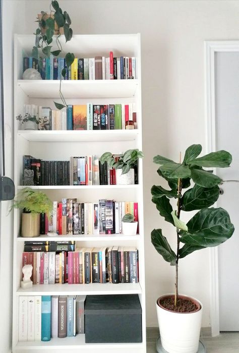 White Home Ideas, White Home Aesthetic, Aesthetic Bookcase, Home Decor Ideas White, Home Ideas Bedroom, Minimalist Home Aesthetic, Bookcase Aesthetic, Home Decor Ideas Minimalist, Aesthetic Amazon Finds