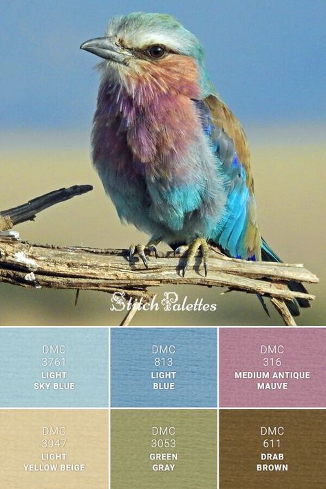 Animal Color Palettes, Matching Colours Color Balance, Stitch Pallets, Dmc Color Palette, Stitch Palettes, Lilac Breasted Roller, Light Sky Blue, Color Schemes Colour Palettes, Blue Palette