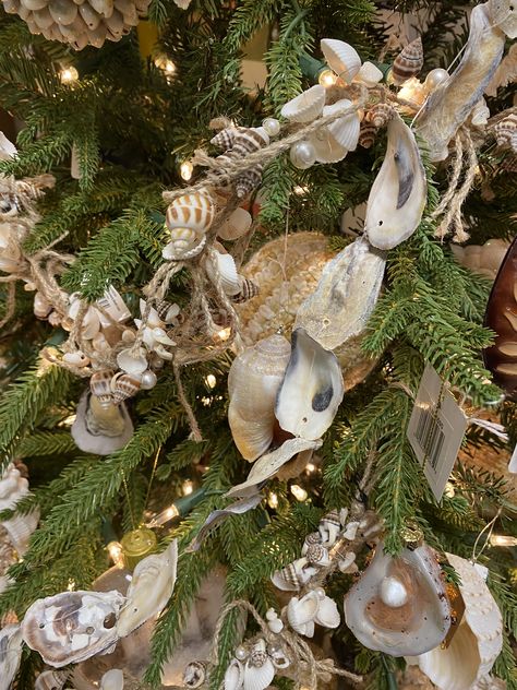 Coastal Winter Decor, Coastal Thanksgiving Decor, Coastal Thanksgiving, Coastal Pumpkins, Coastal Winter, Coastal Christmas Tree, Aussie Christmas, Florida Christmas, Beachy Christmas