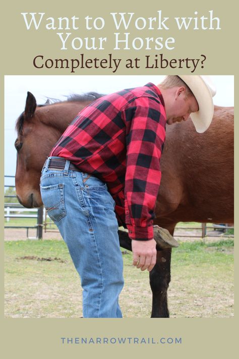 Here are some great ideas to do completely at liberty with your horse. Liberty Work With Horses, Liberty Horse Training, Horse Liberty, Liberty Horse, Fly Spray, New Mustang, Fun Walk, Round Pen, Farm Lifestyle