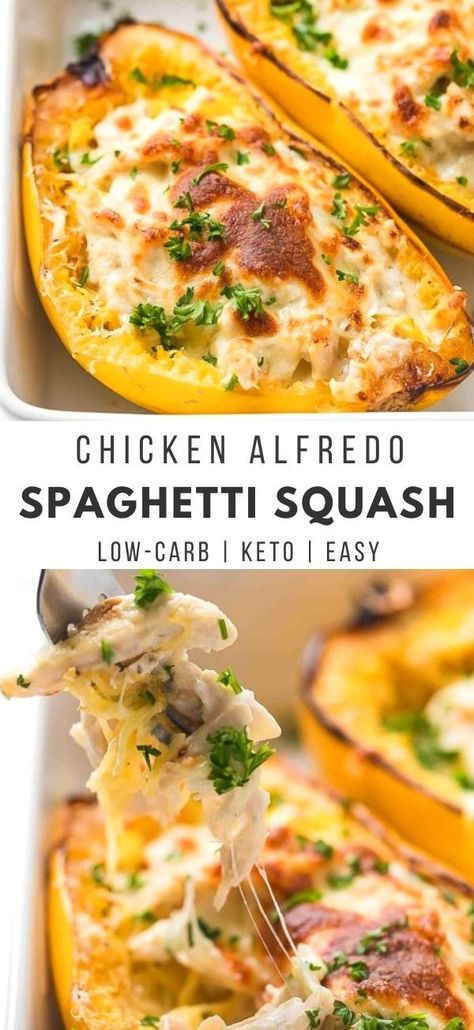 Chicken Alfredo Spaghetti Squash, Chicken Alfredo Spaghetti, Chicken Fettucini, Alfredo Spaghetti Squash, Spaghetti Squash Recipes Chicken, Spaghetti Squash Chicken Alfredo, Spaghetti Squash Alfredo, Alfredo Spaghetti, Healthy Dinner Casseroles