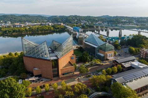 Tennessee Aquarium in Chattanooga Voted Best in the U.S. Tennessee Plants, Tennessee Aquarium Chattanooga, Shedd Aquarium Chicago, Mystic Aquarium, Tennessee Aquarium, Stone Mountain Park, Seattle Aquarium, Blue Ridge Georgia, Georgia Coast