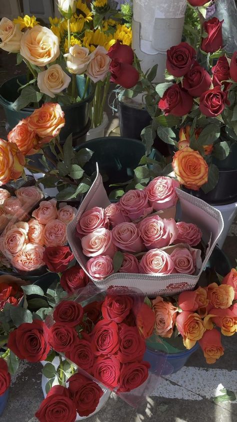 Flower Shop Video, Roses Video, Money Wallpaper Iphone, Rose Video, Red Rose Bouquet, Boquette Flowers, Flowery Wallpaper, Nothing But Flowers, Flower Therapy