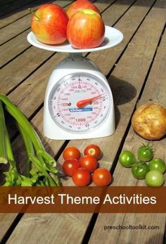 Fall harvest theme for early learners - Preschool Toolkit Harvest Theme Preschool, Preschool Harvest Activities, Preschool Harvest Theme, Preschool Harvest, Fall Homeschool, Harvest Activities, Farm Lessons, Harvest Crafts, Fall Crops