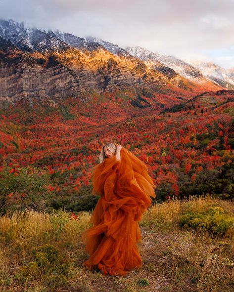 🍁 Your Fall Photoshoot Awaits! 🍁 Ready to capture the stunning fall colors? As you can see from these photos I know a little something about taking pictures in fall. Whether it’s Utah’s breathtaking mountains, a cozy pumpkin patch, a fun spooky photoshoot, or an out-of-state adventure, I’m your go-to photographer for all things autumn. Booking now message me! 💌 #utahinfall #autumn #autumnphotoshoot #utahphotographer #fallphotography Fall Field Photoshoot, Mountains Photoshoot, Moody Photoshoot, Spooky Photoshoot, Mommy Daughter Photoshoot, Mountain Photoshoot, Birthday Glam, Autumn Photoshoot, Daughter Photoshoot