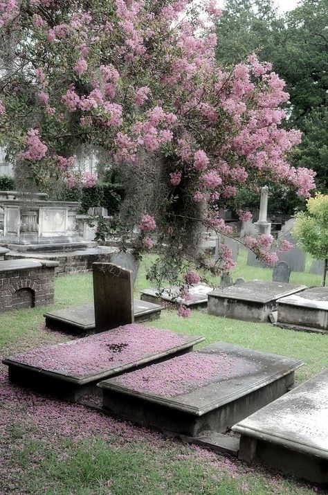 Tomb Stones, Ash Baby, Tomb Stone, Witches House, Charleston Style, Southern Travel, Cemetery Headstones, Charleston Travel, Grave Decorations