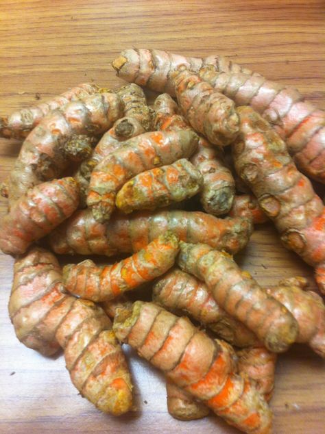 Turmeric Root - Whole Raw Organic Root - 1 Lb. Lots - Top Grade Turmeric Spice, Spice Company, Shopping List Grocery, Spice Grinder, Organic Turmeric, Turmeric Root, Spices And Herbs, Grocery Shop, Gourmet Food