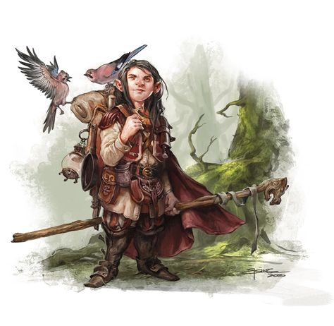 Druid Inspiration, Halfling Druid, Halfling Bard, Gnome Dnd, Dnd Druid, Heroic Fantasy, Forgotten Realms, Fantasy Races, Dungeons And Dragons Characters