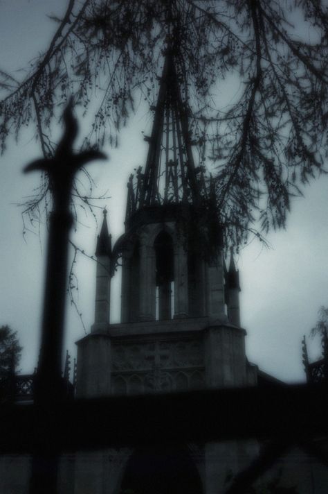 Dark Emo Wallpaper, Gothic Royalty Aesthetic, Grunge Nature Aesthetic, Gothic Royalty, Vampire Aesthetics, Goth Architecture, Red Vampire, Widget Pictures, Dark Glamour