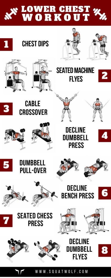 Gym Chest Workout, Chest Day Workout, Chest And Tricep Workout, Chest Workout Women, Chest Workout For Men, Chest Workout Routine, Fitness Studio Training, Latihan Dada, Best Chest Workout