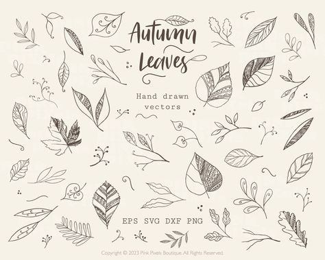 Falling Leaves Drawing, Fall Leaves Drawing, Leaf Sketch, Line Art Svg, Leaves Sketch, Boho Autumn, Drawn Leaves, Leaf Svg, Leaves Png