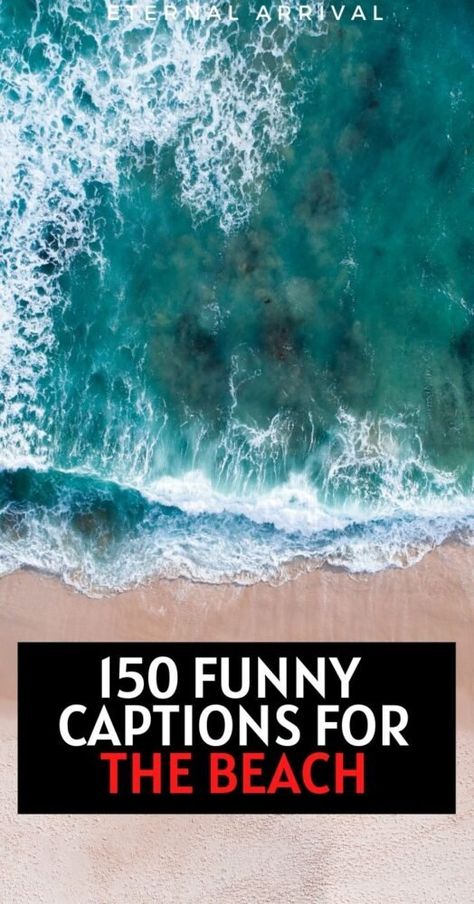 150 Shell-arious Beach Puns for Summery Instagram Captions Funny Beach Captions Hilarious, Beach Humor Hilarious, Sea Puns, Funny Beach Captions, Caption For Beach Photos, Water Captions, Water Puns, Short Beach Quotes, Ocean Captions