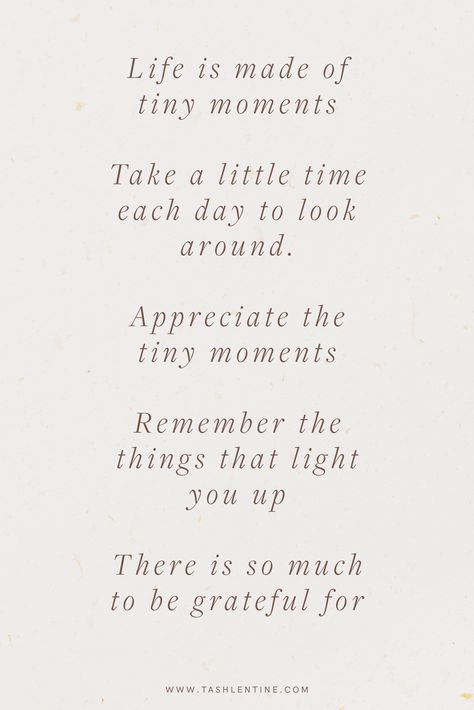 quote: "life is made of tiny moments. take a little time each day to look around. appreciate the tiny moments. remember the things that light you up. there is so much to be grateful for" Grateful Thankful Blessed Quotes, Grateful Quotes Gratitude, Gratitude Quotes Thankful, Grateful Quotes, Feeling Blessed Quotes, Make Life Beautiful, Rose Quotes, Stop And Smell The Roses, Thankful Quotes