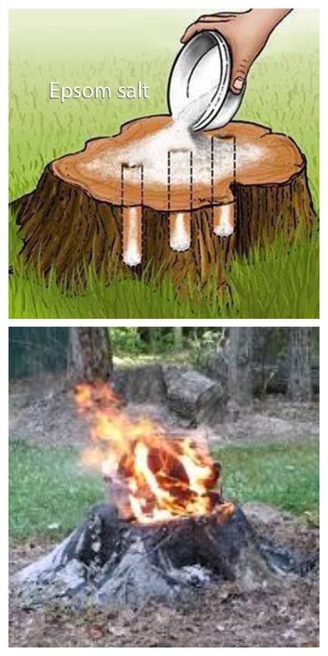 Kill Tree Stump, Tree Stumps Diy, Landscaping Around Trees, Diy Lawn, Couch Diy, Pallet Couch, Furniture Cheap, Furniture Couch, Garden Yard Ideas