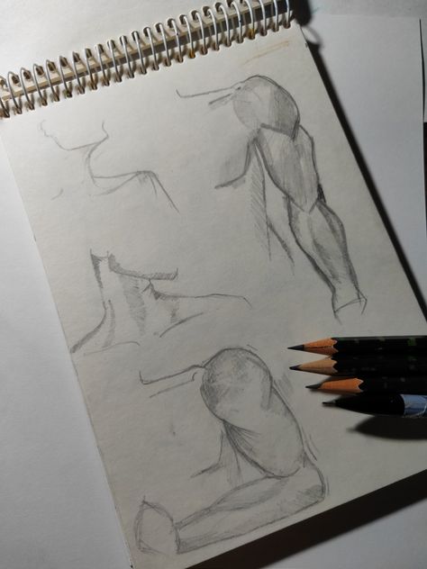 Pencil sketch How To Draw Biceps, Bicep Drawing, Muscles Sketch, Simple Drawings, What To Draw, Drawing Sketches, Easy Drawings, Muscles, To Draw